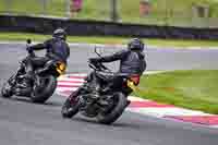 Evening Low_Mid Group Black Bikes